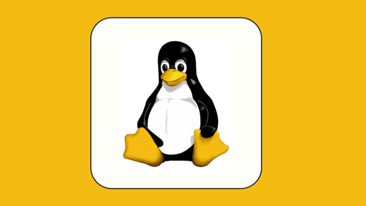 Learn-Linux-From-The-Scratch-and-prepare-for-Job-Interview